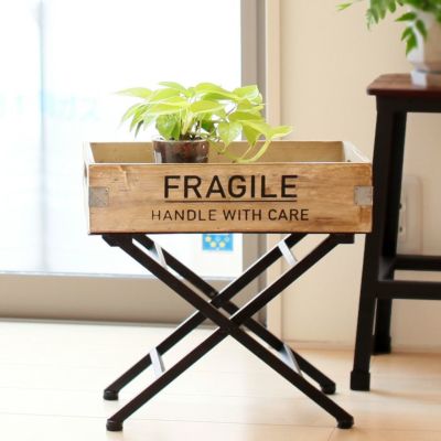 観葉植物を飾るインテリア雑貨がたくさんあります 公式 E 花屋さん 本店 観葉植物を飾るインテリア雑貨がたくさんあります 公式 E 花屋さん 本店