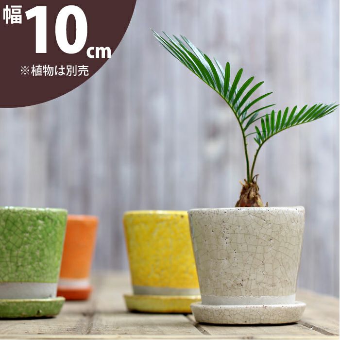 9色から選べる！貫入加工のカラー陶器鉢｜2.5サイズ植物の植替えに