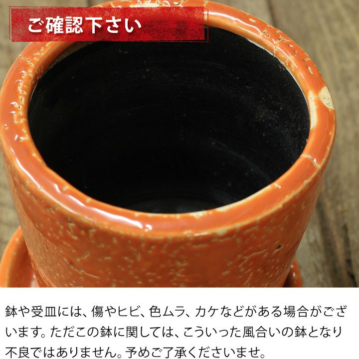 高さは、30cm陶器 信楽焼 黒マット丸鉢 10号 幅30cm×高さ15cmの販売｜盆栽妙