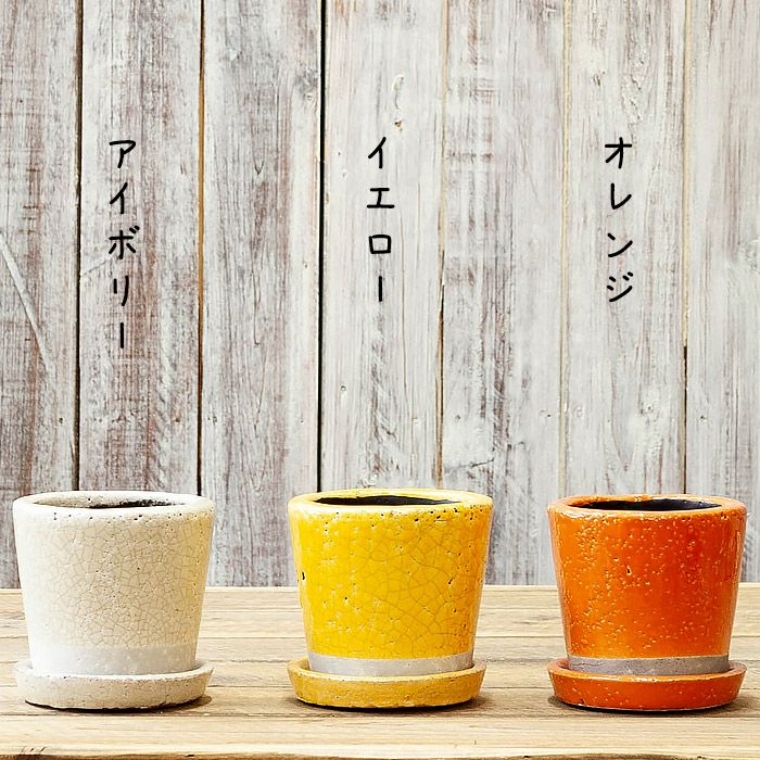 9色から選べる！貫入加工のカラー陶器鉢｜2.5サイズ植物の植替えに