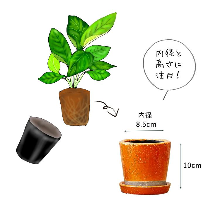 9色から選べる！貫入加工のカラー陶器鉢｜2.5サイズ植物の植替えに