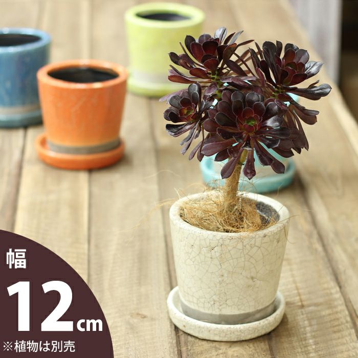 欲しい植木鉢が見つかる！室内外おしゃれプランター専門店