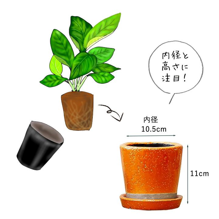 CJ PLANTS × TOOCO 陶器鉢 希少