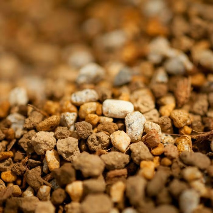 観葉植物はプレミアム用土 1番人気 虫がわかないbest配合e 花屋さん