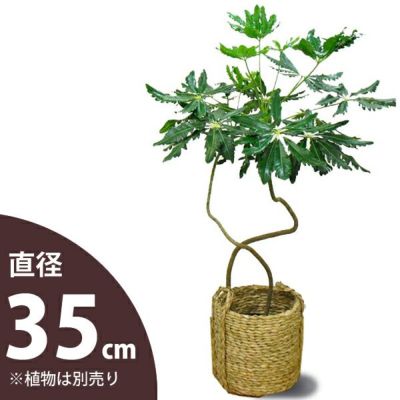 持ち手が可愛いバスケット(8号向け）<br>【送料無料（同梱不可）】