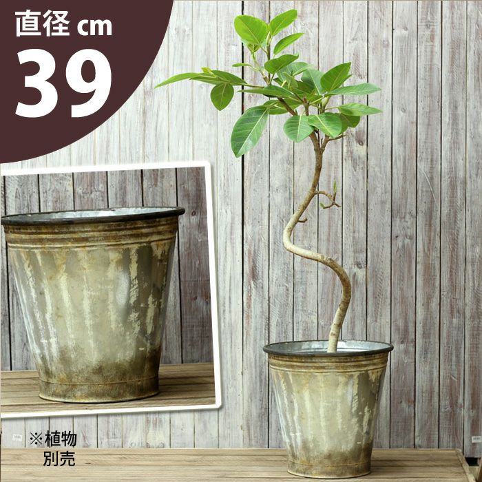 大型植木鉢 プロが選ぶ48種e 花屋さん