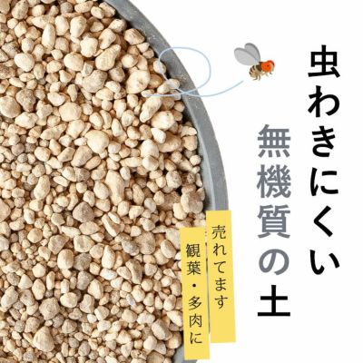 観葉植物＆多肉植物の土（虫が出にくい無機質用土）