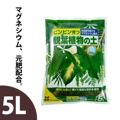 観葉植物の土【5リットル】花ごころ