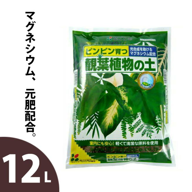 観葉植物の土・お得用【12リットル】花ごころ | [公式]e-花屋さん