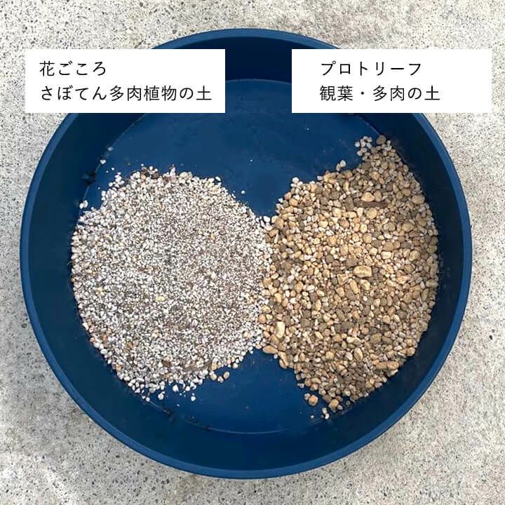 花ごころ さぼてん多肉植物の土 配合の違いは軽石中心 おすすめ