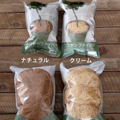 ココヤシファイバー繊維｜水やりそのままOK！観葉植物マルチング