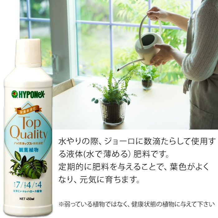 観葉植物の肥料 水やりの際 ジョーロに入れる液体肥料 公式 E 花屋さん