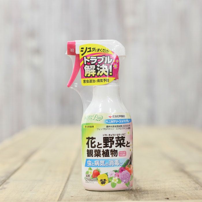 観葉植物向けの殺虫剤（小さめ250ml） | [公式]e-花屋さん