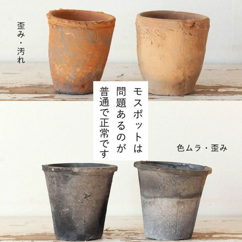モスポット( アンティーク風テラコッタ）直径16cm×高さ14.5cm | [公式