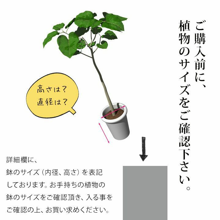陶器の受皿付き シンプルで使いやすい陶器鉢 32cm 送料無料 同梱不可 公式 E 花屋さん