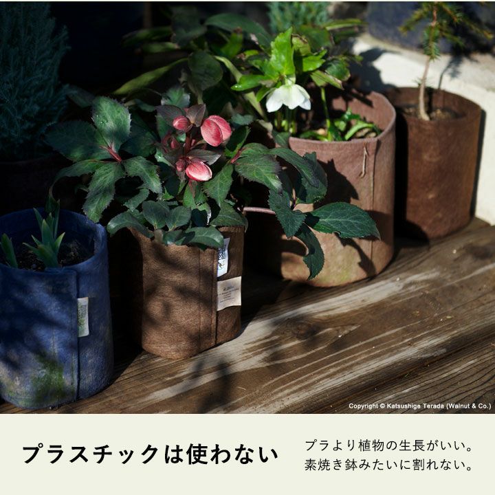不織布プランター「ルーツポーチ」4号の植物の植え替えに｜1ガロン