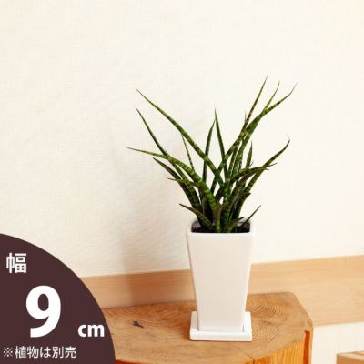 欲しい植木鉢が見つかる！室内外おしゃれプランター専門店