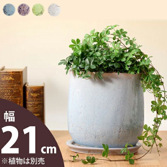 植木鉢 PP鉢・6号 | D&DEPARTMENT