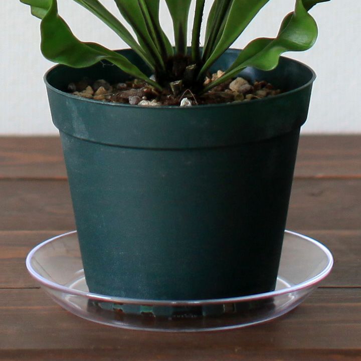 【なお】植木鉢＆受け皿_まとめ買い 楽天市場】送料無料 植木鉢 受け皿付き 多肉植木鉢 鉢 フラワー