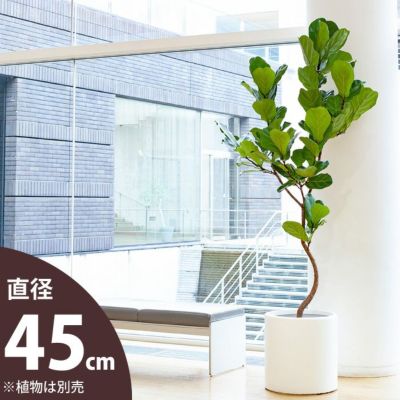 大型の植木鉢（鉢カバー）デザイン陶器、FRPで植物がおしゃれに