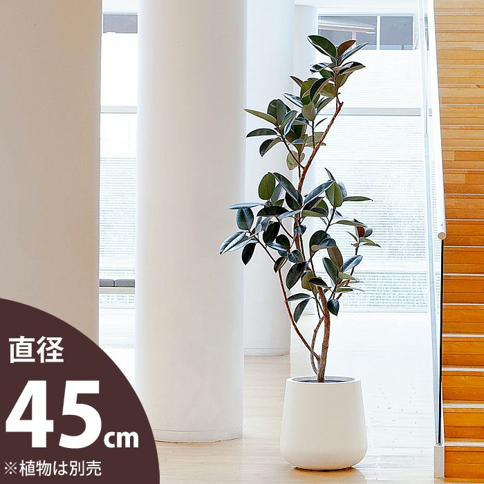大型植木鉢 プロが選ぶ48種e 花屋さん