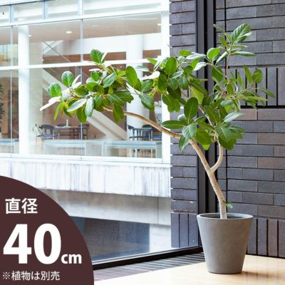 大型の植木鉢（鉢カバー）デザイン陶器、FRPで植物がおしゃれに