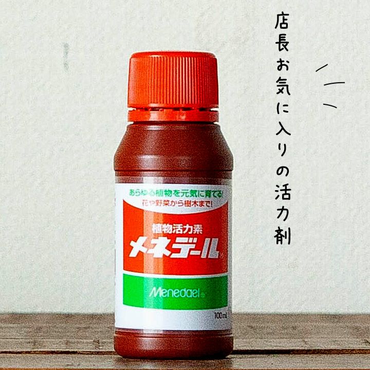 植替えの時に！メネデール活力剤液｜使い方簡単！発根効果、挿し木に