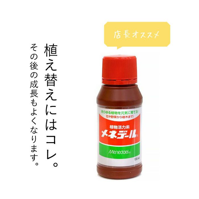 植替えの時に メネデール活力剤液 使い方簡単 発根効果 挿し木に