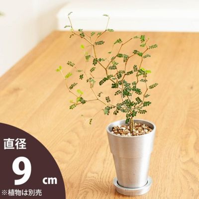 COOL。シリンダー植木鉢<br>（9ｃｍ）