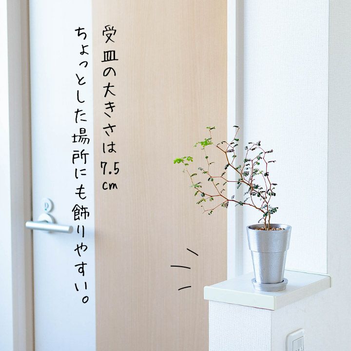 金メタリック　植木鉢　03 Amazon.co.jp: [COSMIC TREE] 金 銀 植木鉢 プランター 2個