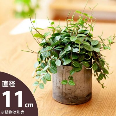 シリンダーパイプPOT<br>（11ｃｍ）