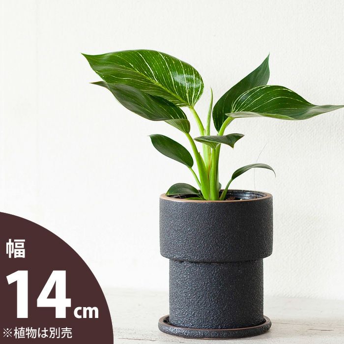 欲しい植木鉢が見つかる 室内外おしゃれプランター専門店 欲しい植木鉢が見つかる 室内外おしゃれプランター専門店