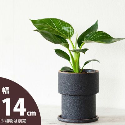 ザラっとした質感。渋カワ陶器鉢<br>（12.5ｃｍ）