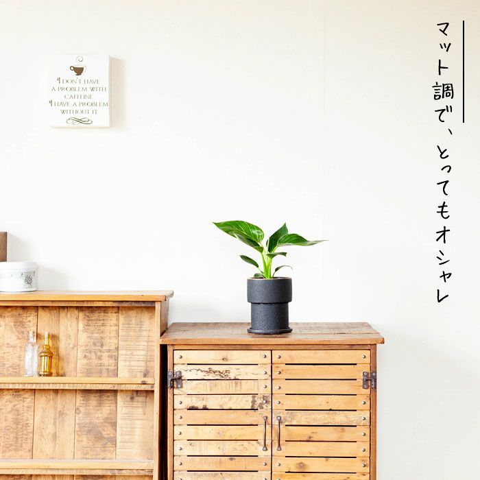 ザラっとした質感。渋カワ陶器鉢（12.5cm） | [公式]e-花屋さん