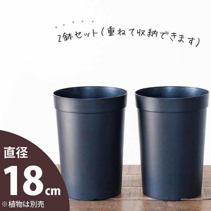 持っておくと便利！植物が成長しやすい鉢（18cm）×2鉢SET | [公式]e