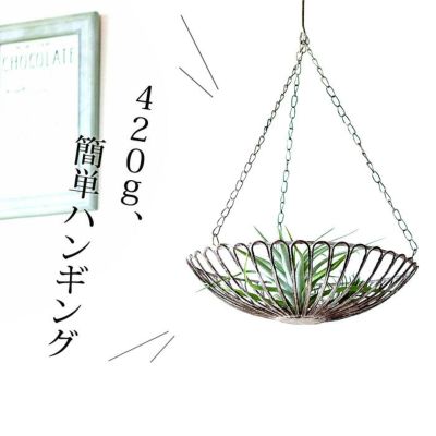 ハンギングワイヤートレイ<br>（26ｃｍ）
