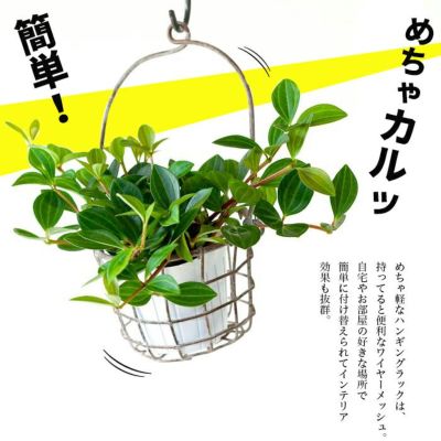 ハンギングPOTカバー<br>（14ｃｍ）