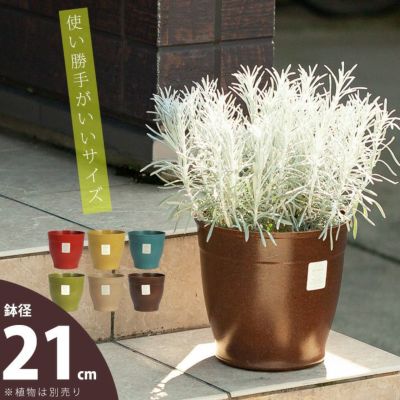 アメリカ生まれの植木鉢 エコフォームズ 21cm 公式 E 花屋さん