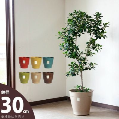 大型の植木鉢 鉢カバー デザイン陶器 Frpで植物がおしゃれに