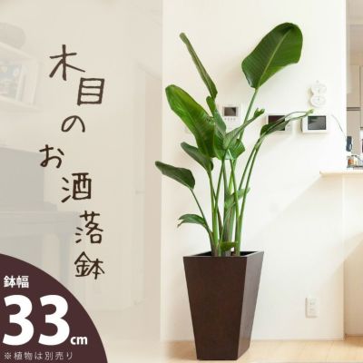 欲しい植木鉢が見つかる！室内外おしゃれプランター専門店