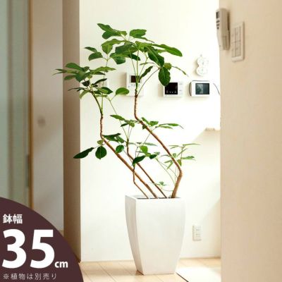 大型の植木鉢（鉢カバー）デザイン陶器、FRPで植物がおしゃれに