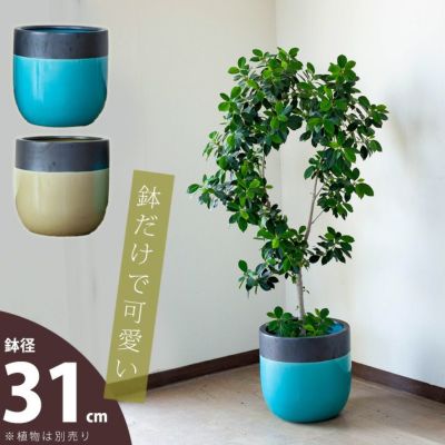 階 抑制 言い換えると 可愛い 植木鉢 大型 Bicks Jp 階 抑制 言い換えると 可愛い 植木鉢 大型 Bicks Jp
