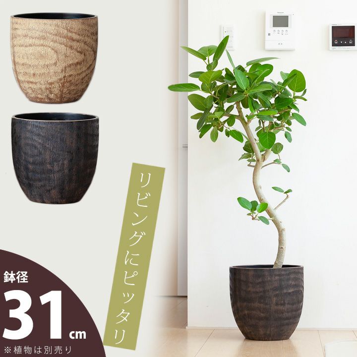 大型の植木鉢（鉢カバー）デザイン陶器、FRPで植物がおしゃれに
