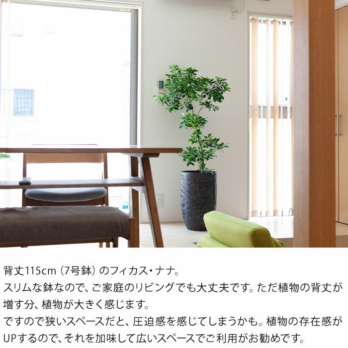木目調の鉢カバー「トール」type(32cm)MO32【送料無料 木目調の鉢カバー「トール」type(32cm)MO32【送料無料