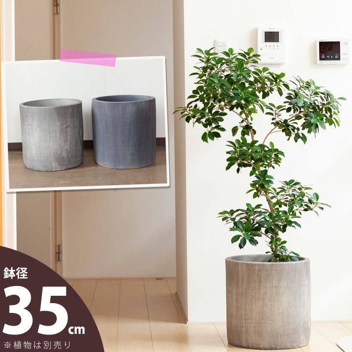 どしっ。重量感あるシリンダー植木鉢（35cm）DJ35【送料無料・同梱不可