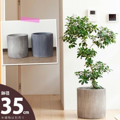 大型の植木鉢（鉢カバー）デザイン陶器、FRPで植物がおしゃれに