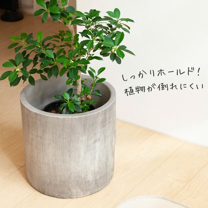 どしっ。重量感あるシリンダー植木鉢（35cm）DJ35【送料無料・同梱不可