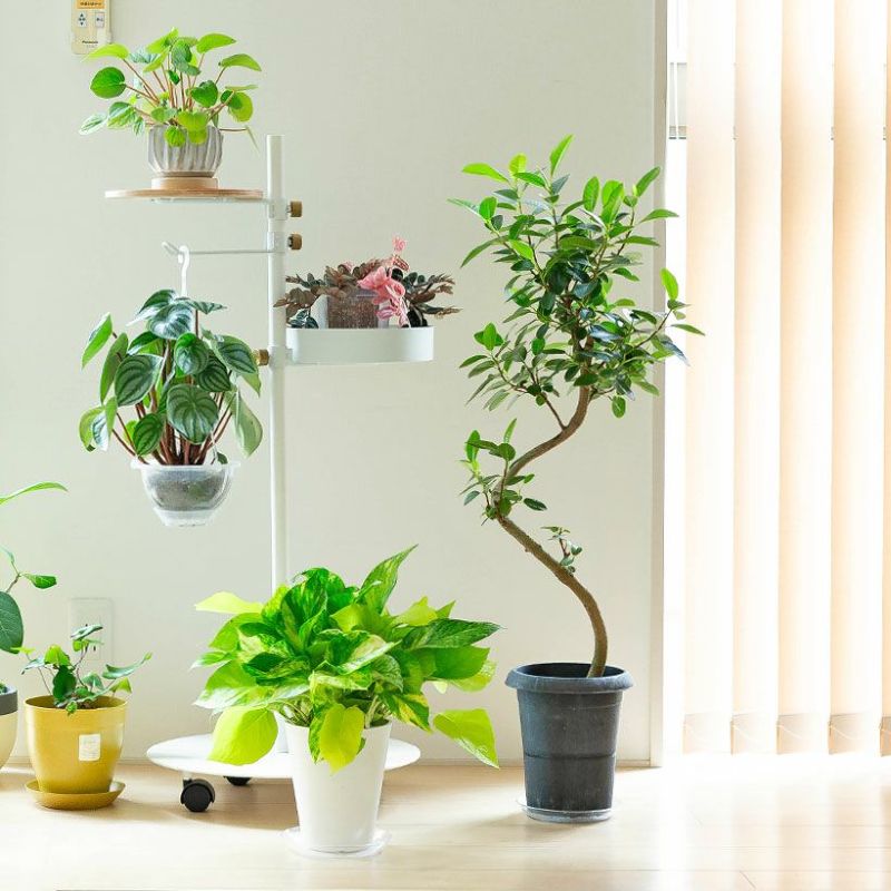 寄せ植えのこだわり