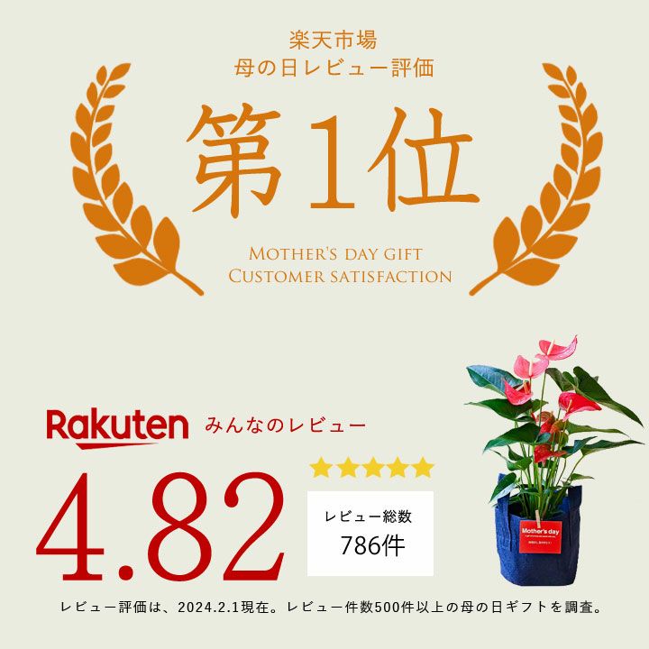 レビュー