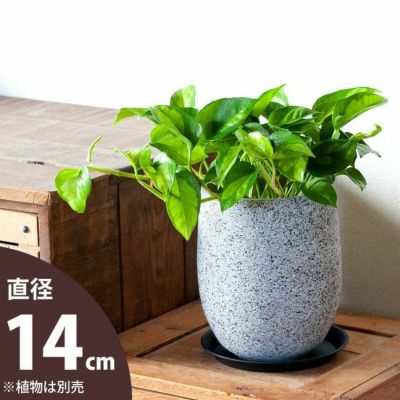欲しい植木鉢が見つかる おしゃれ植木鉢専門店 公式 E 花屋さん 本店 欲しい植木鉢が見つかる おしゃれ植木鉢専門店 公式 E 花屋さん 本店